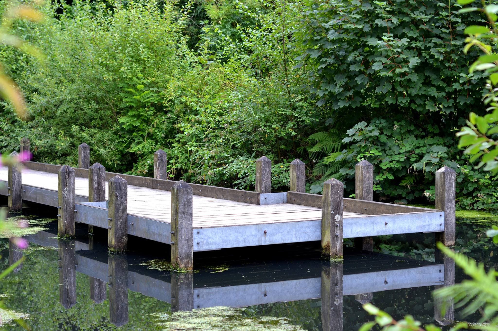 Etherow Country Park - Photo 1