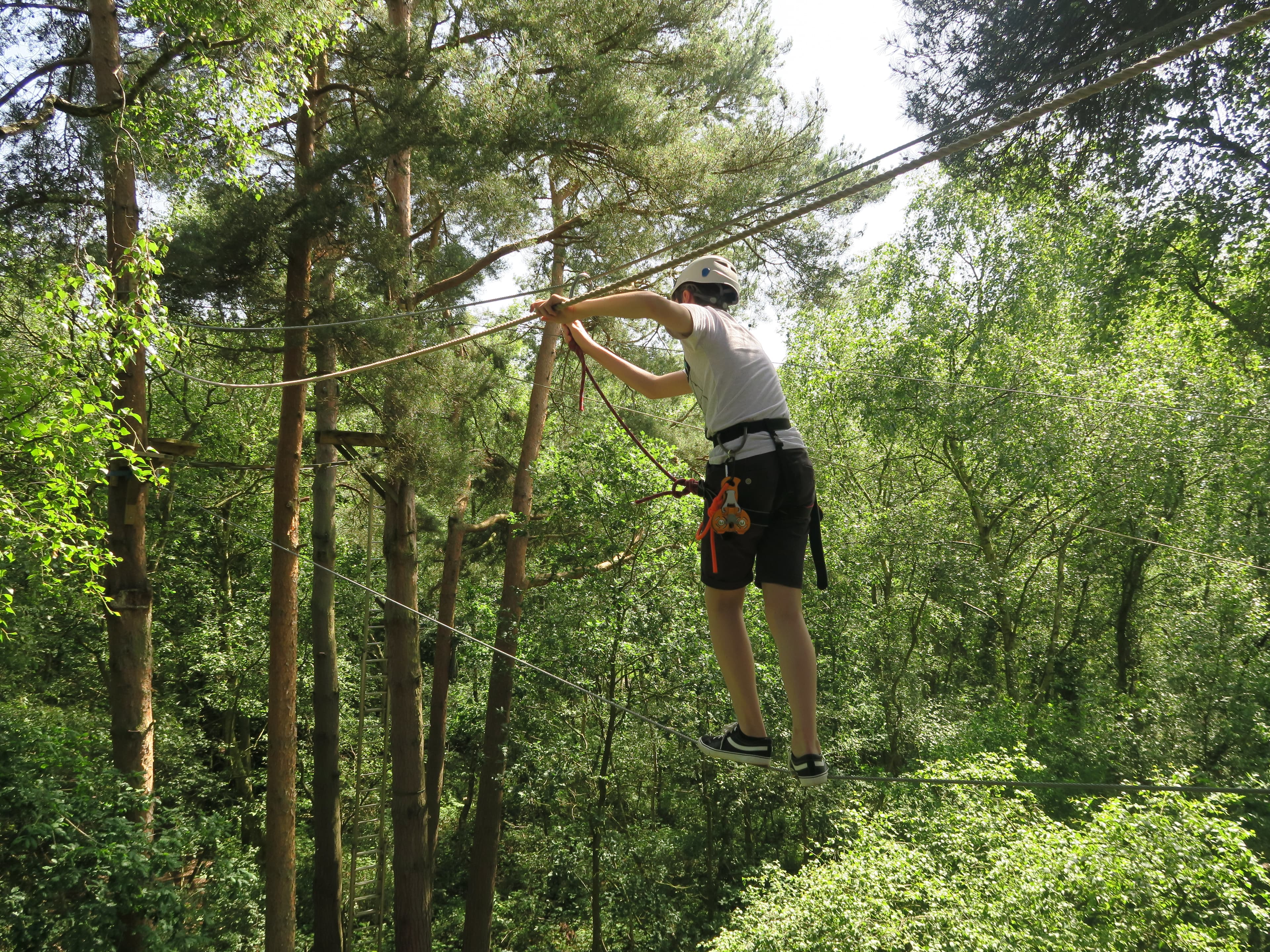 Wild Pines Park - Photo