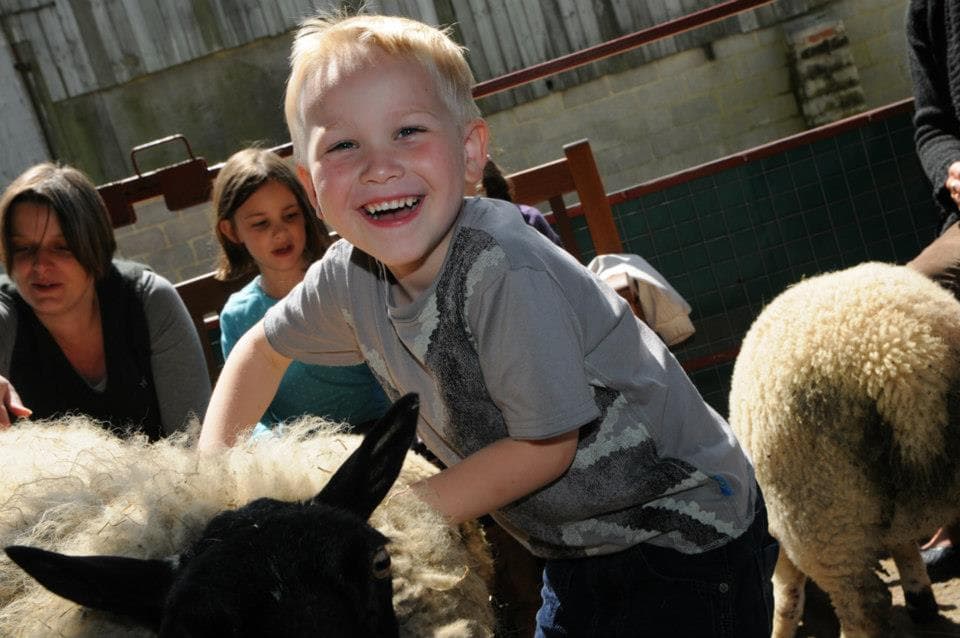Farmer Gow's Activity Farm - Photo