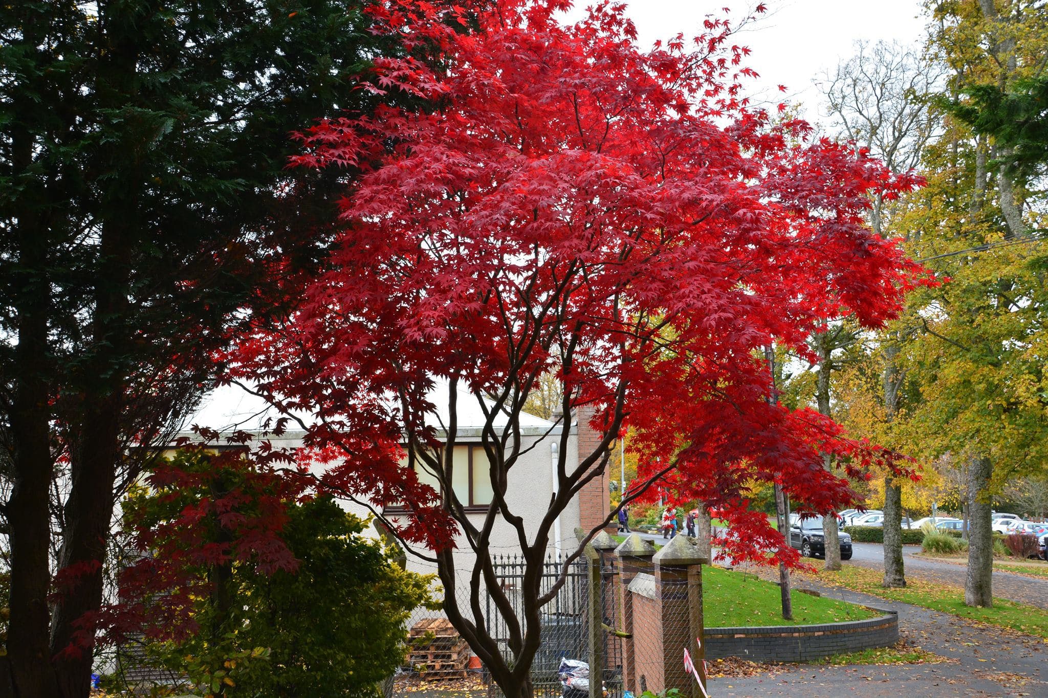 Rouken Glen Park