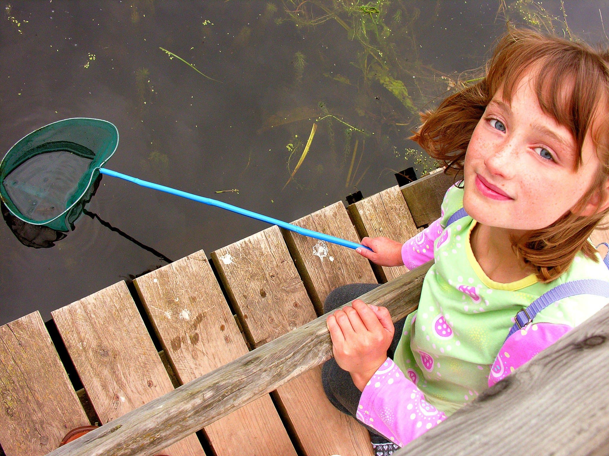 Shropshire Hills Discovery Centre - Photo