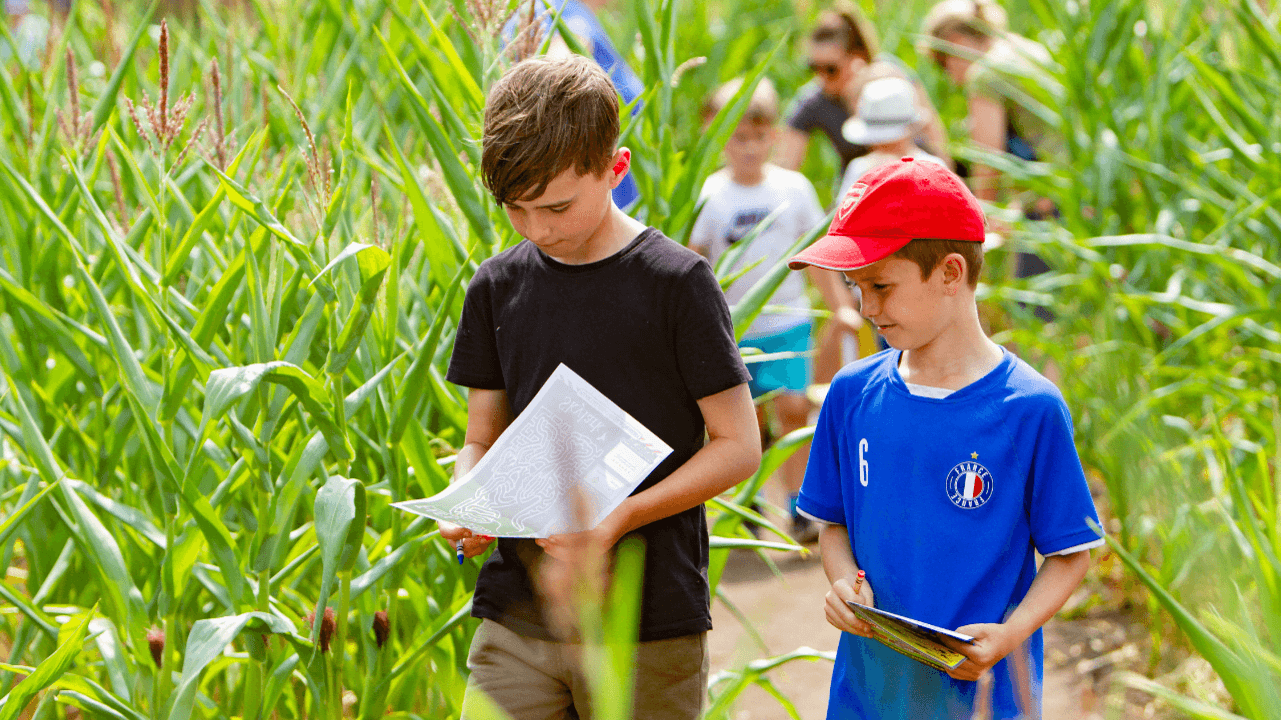 Skylark Maize Maze and Funyard - Photo