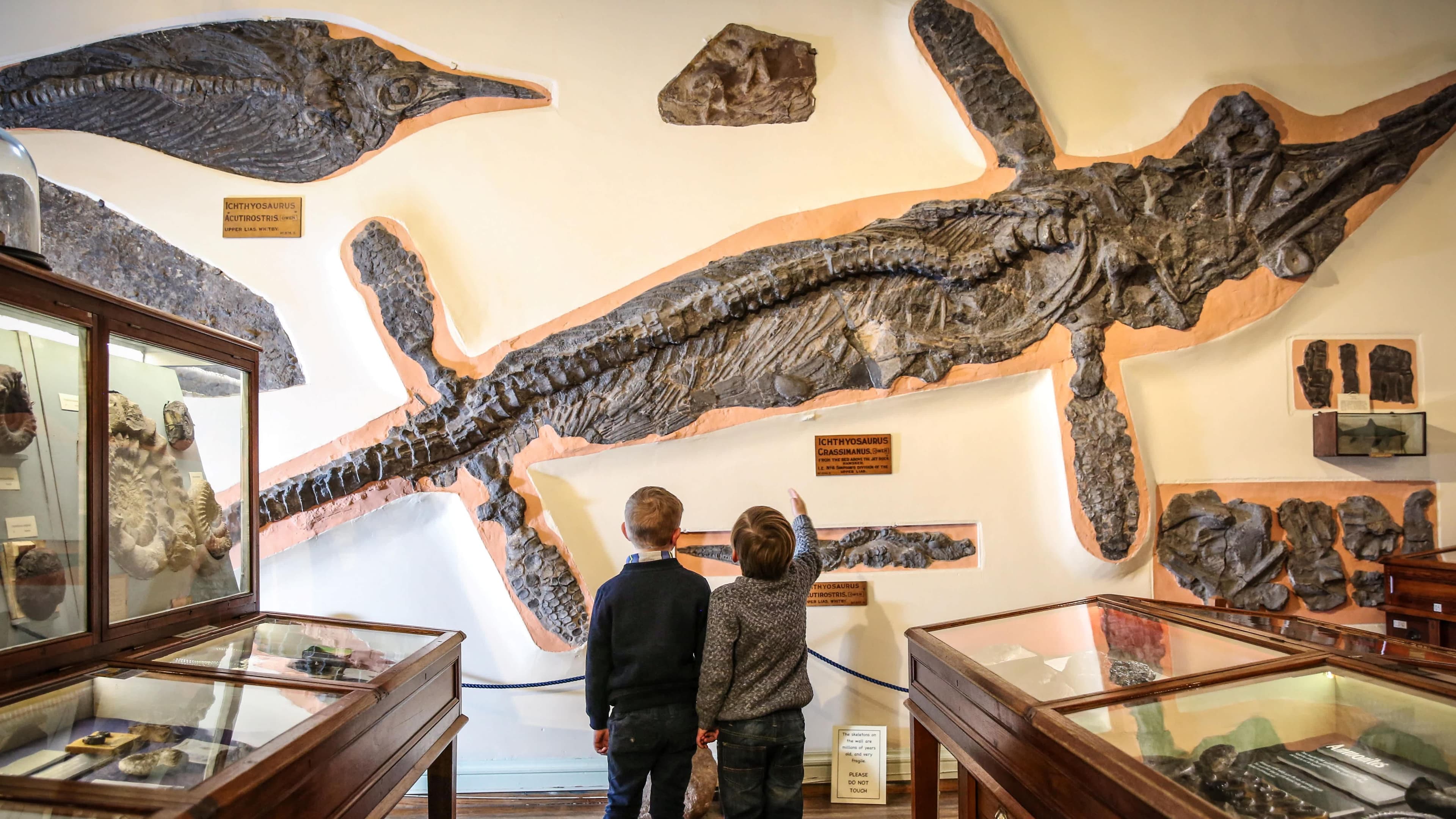 Whitby Museum
