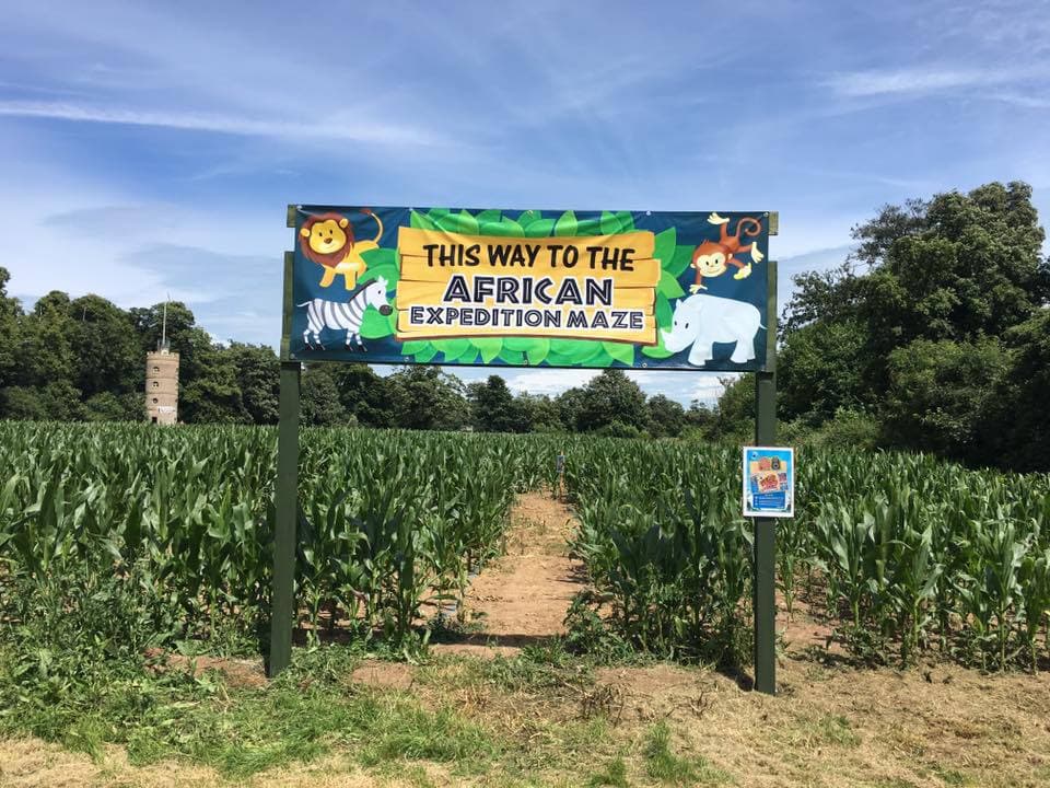 Quex Maize Maze - Photo