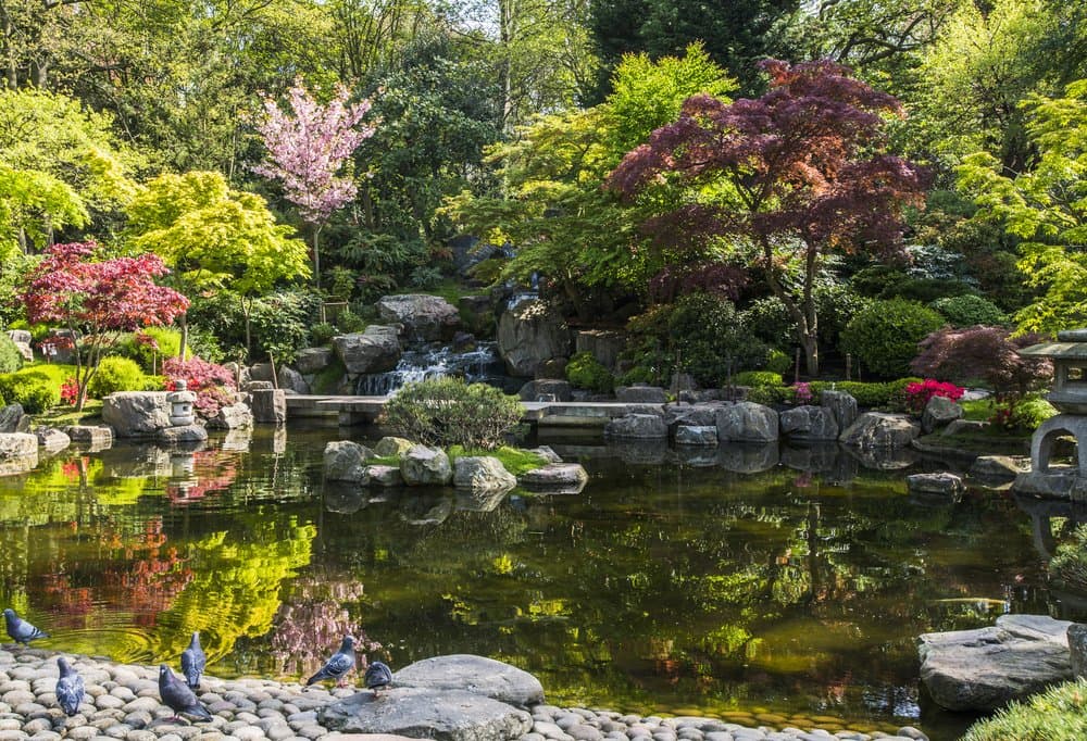 Holland Park