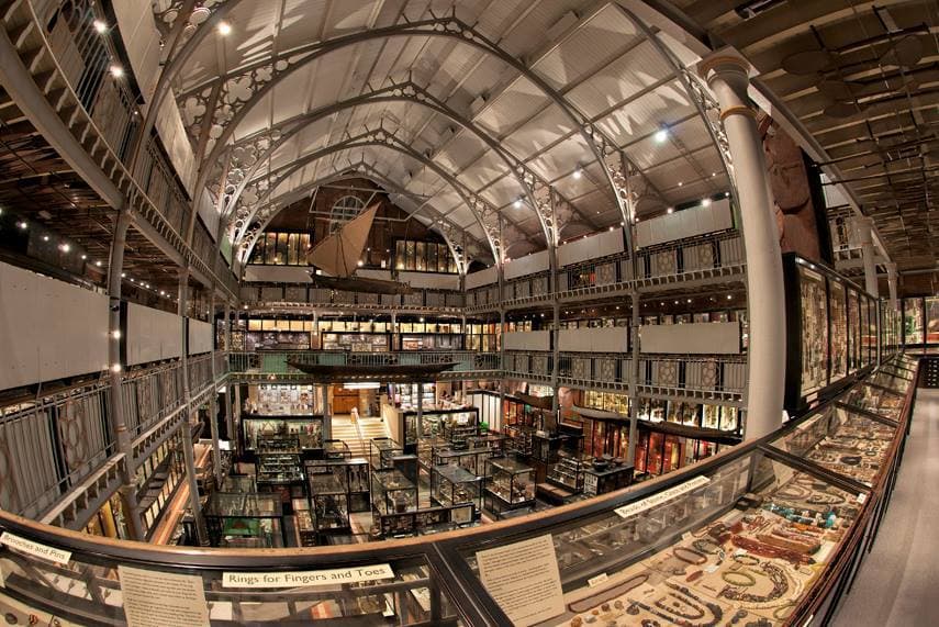 The Pitt Rivers Museum