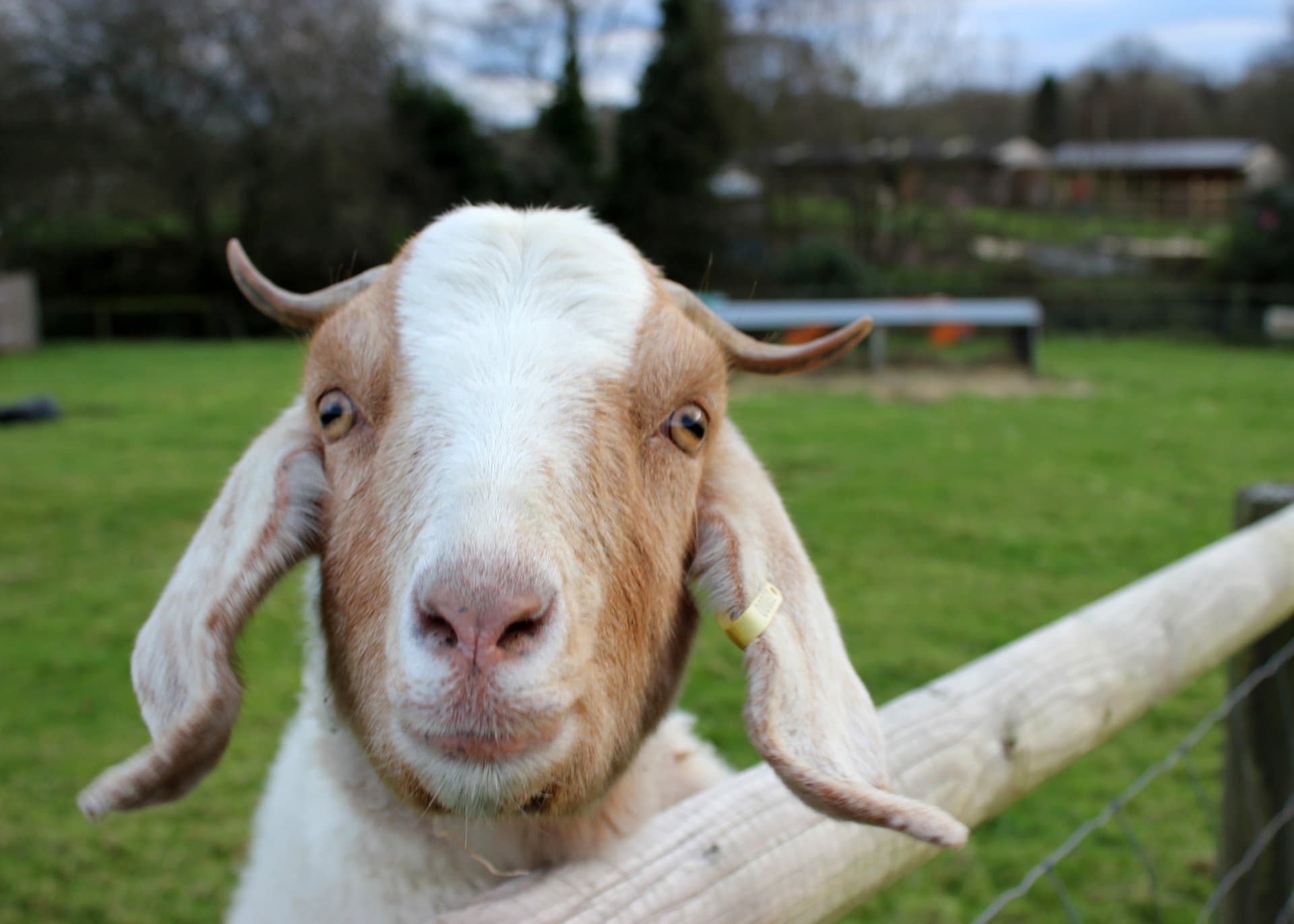 Warren Mill Farm - Photo