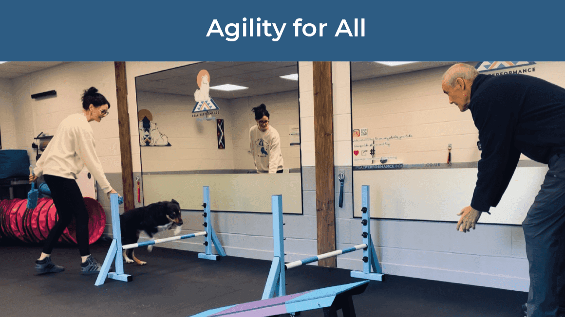 Peak Performance Dog Gym, Play and Training - Photo