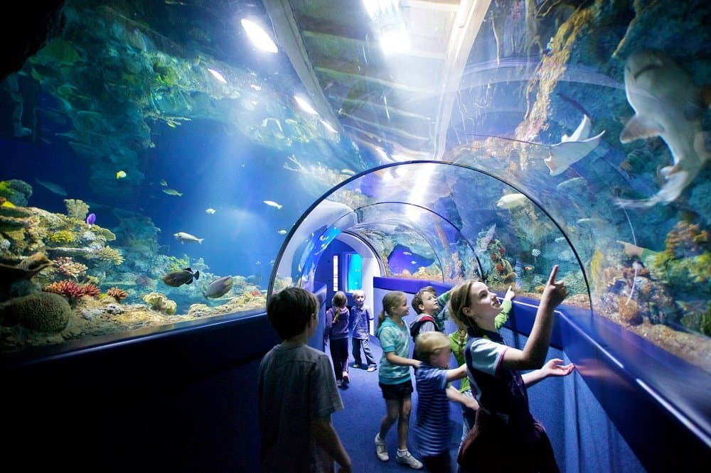 Bristol Aquarium - Photo 1