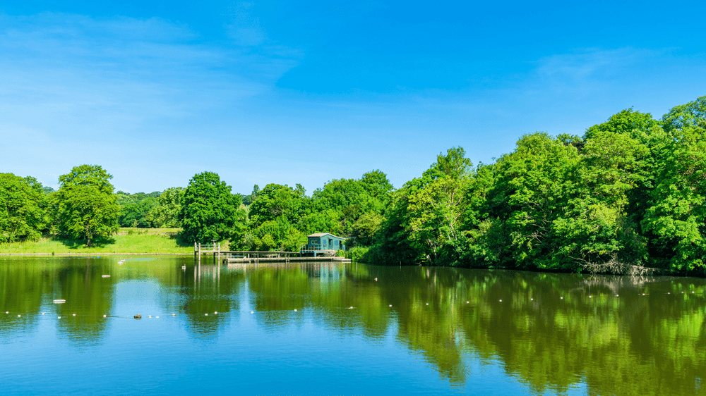 Hampstead Heath London