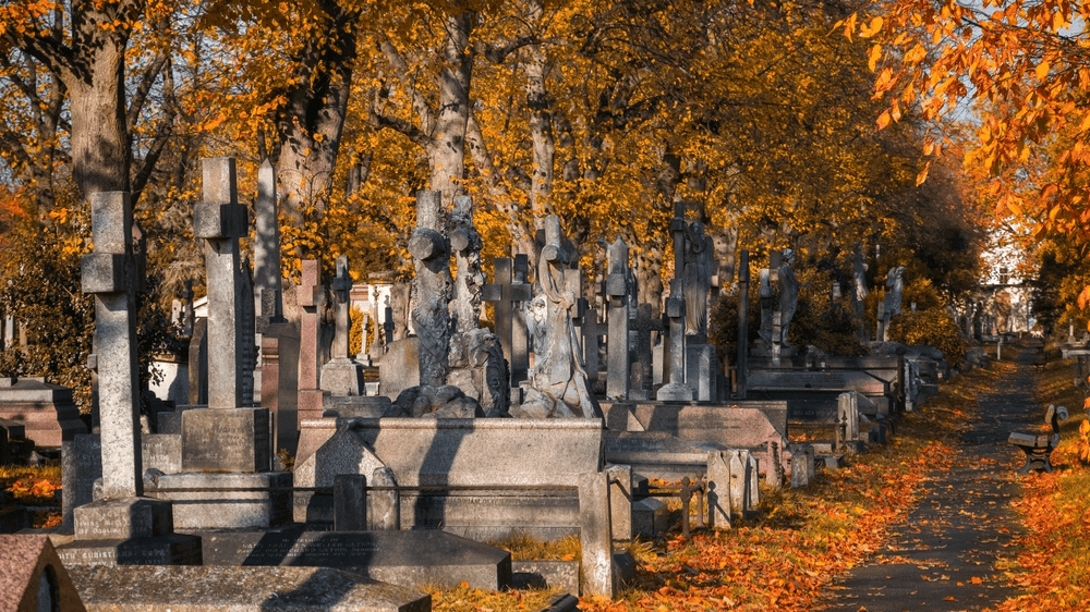 Brompton Cemetery London - Photo