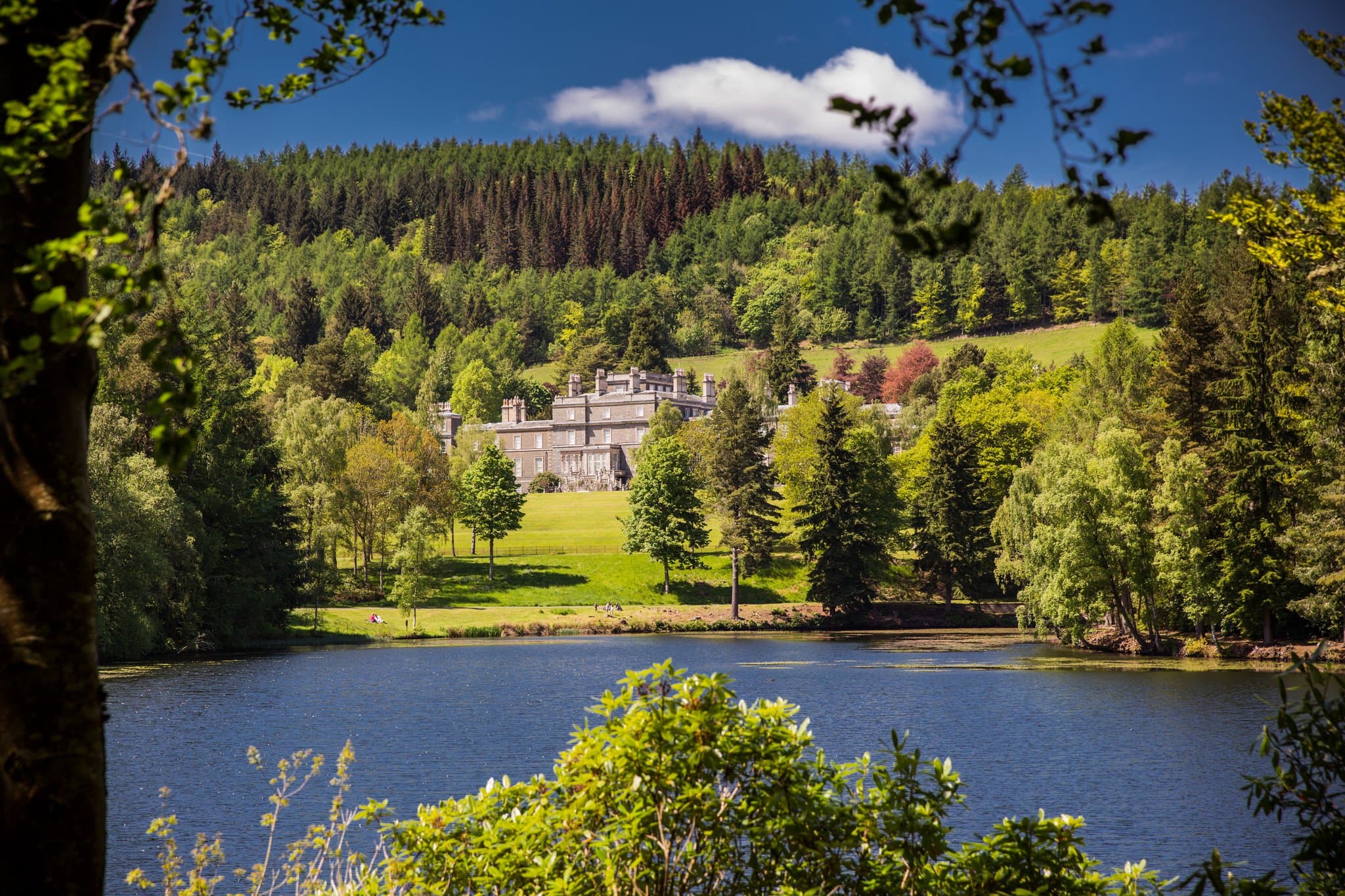 Bowhill House and County Estate - Photo