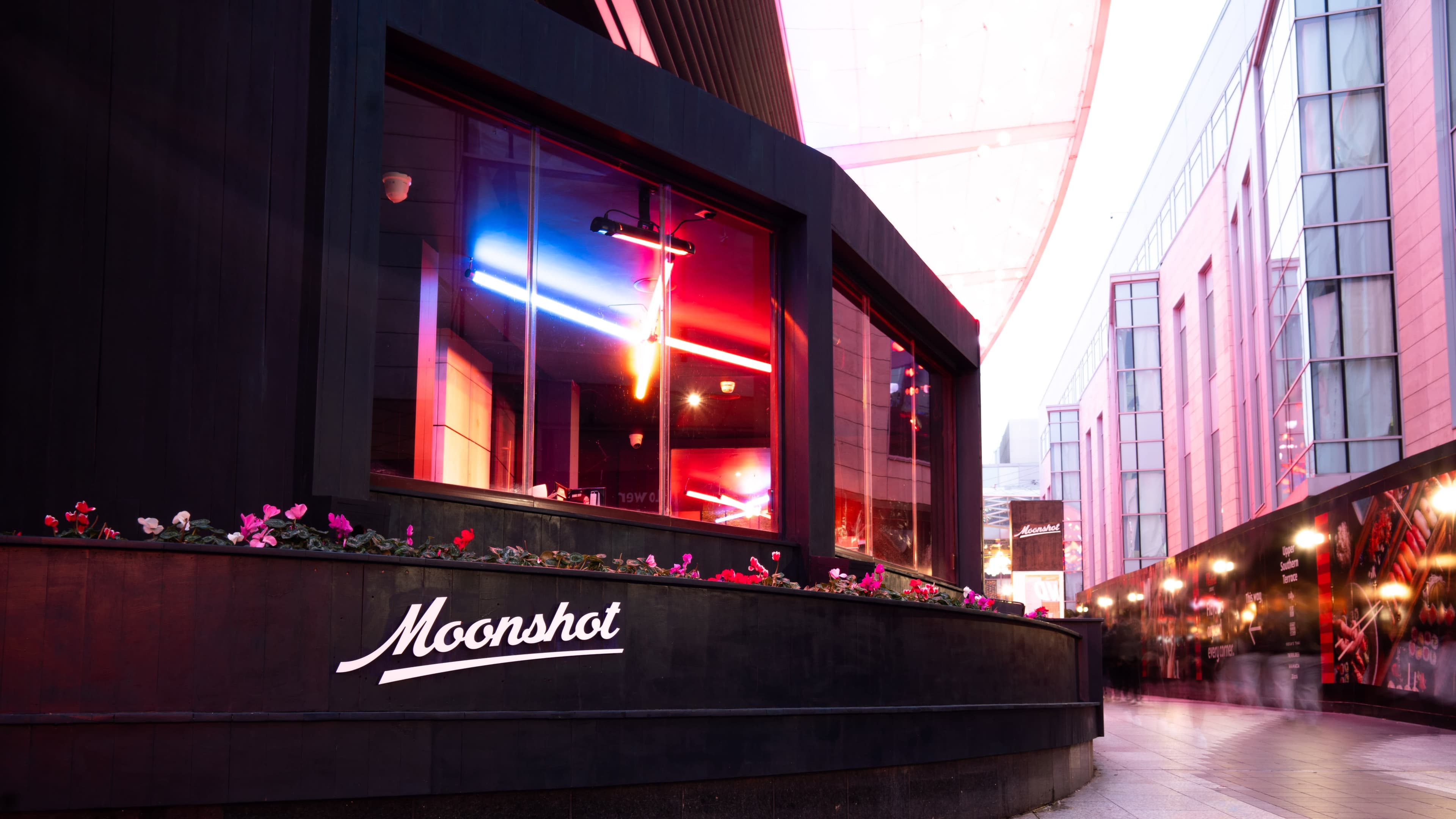 Moonshot - Photo