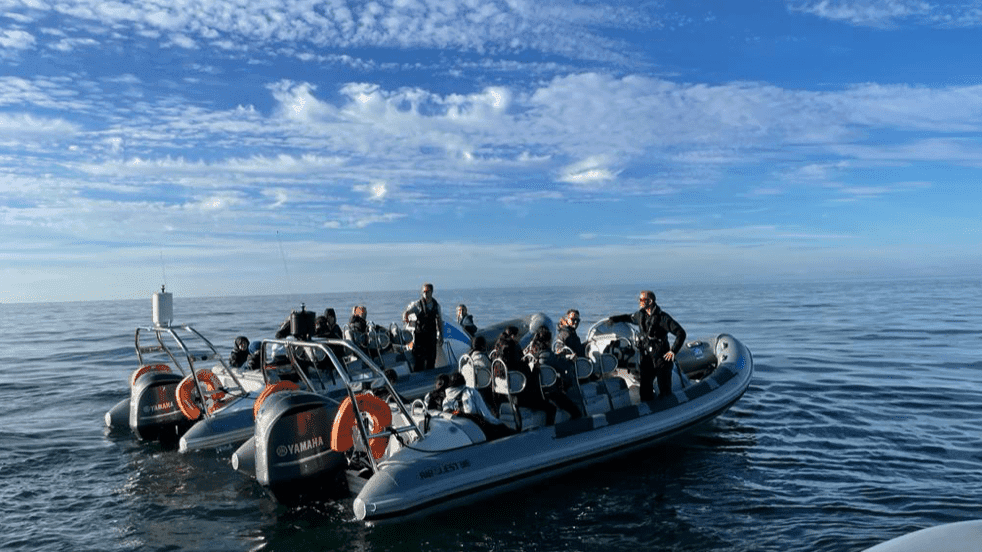 Ribride Adventure Boat Tours - Photo