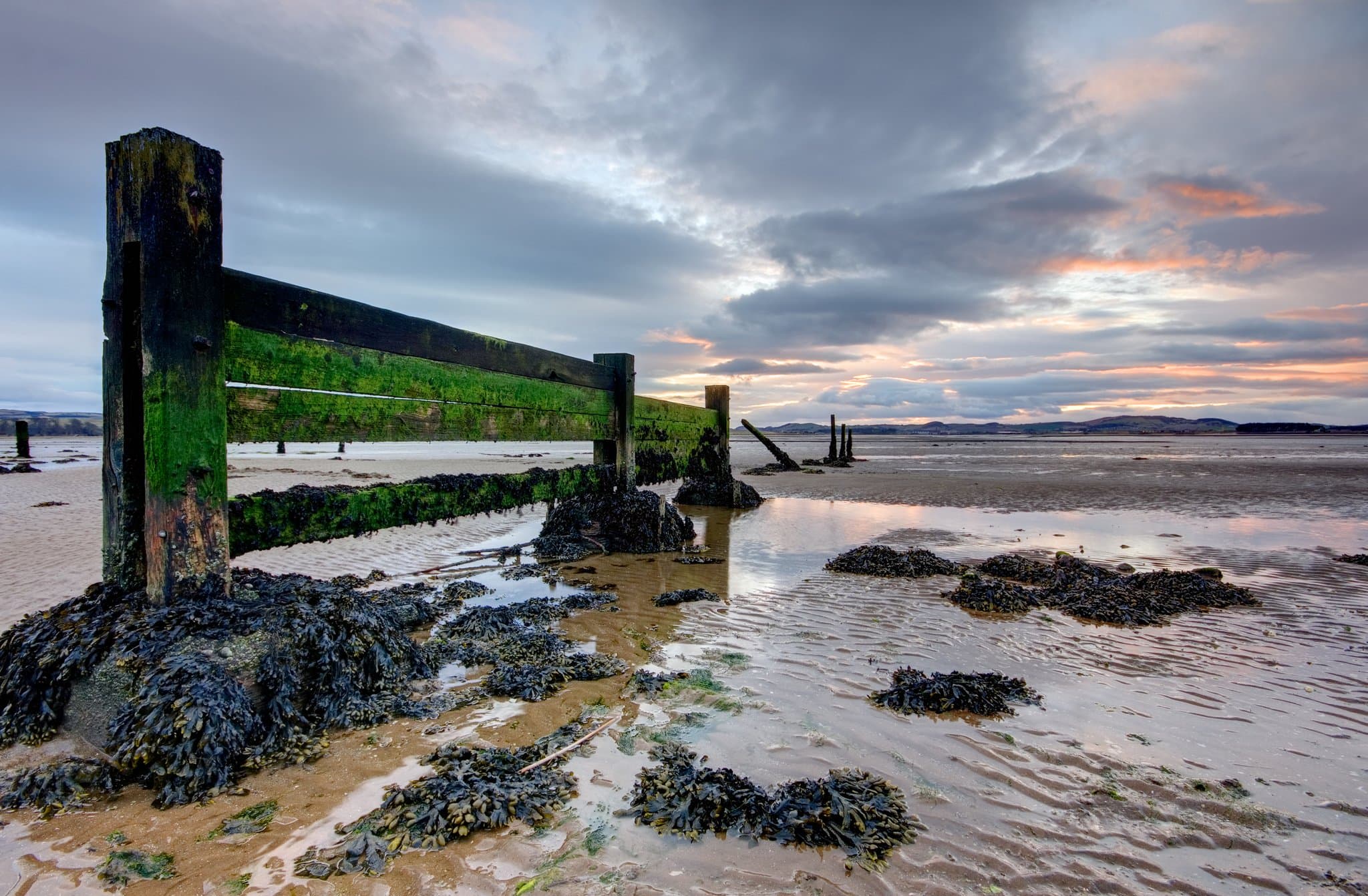St Andrews West Sands