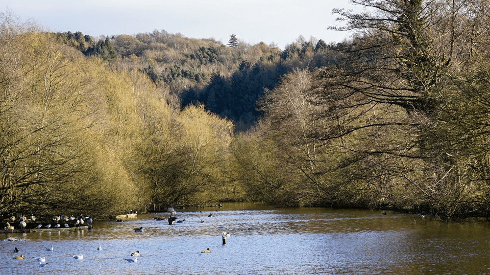 Etherow Country Park - Photo