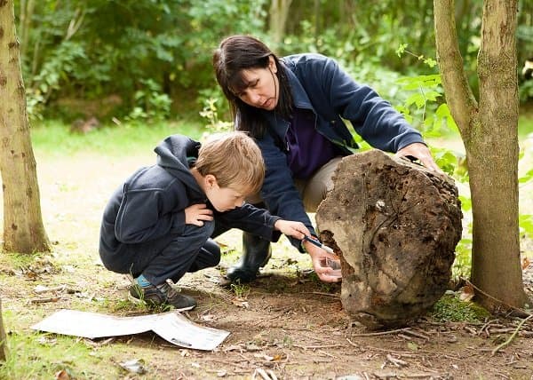 Shropshire Hills Discovery Centre - Photo