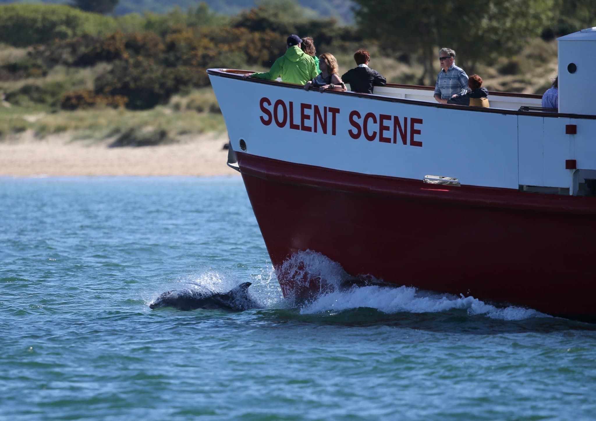 City Cruises Poole