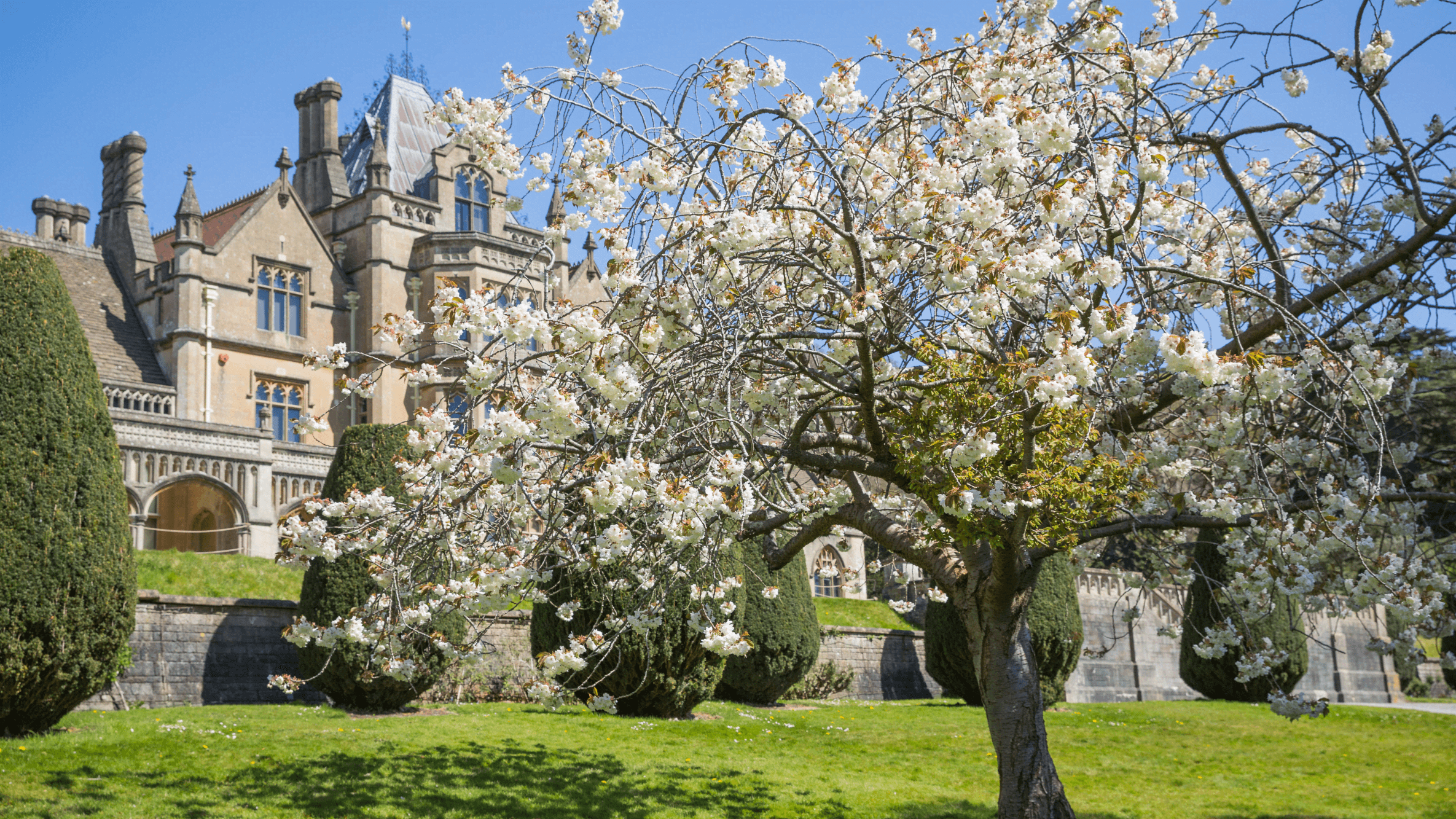 Tyntesfield - Photo