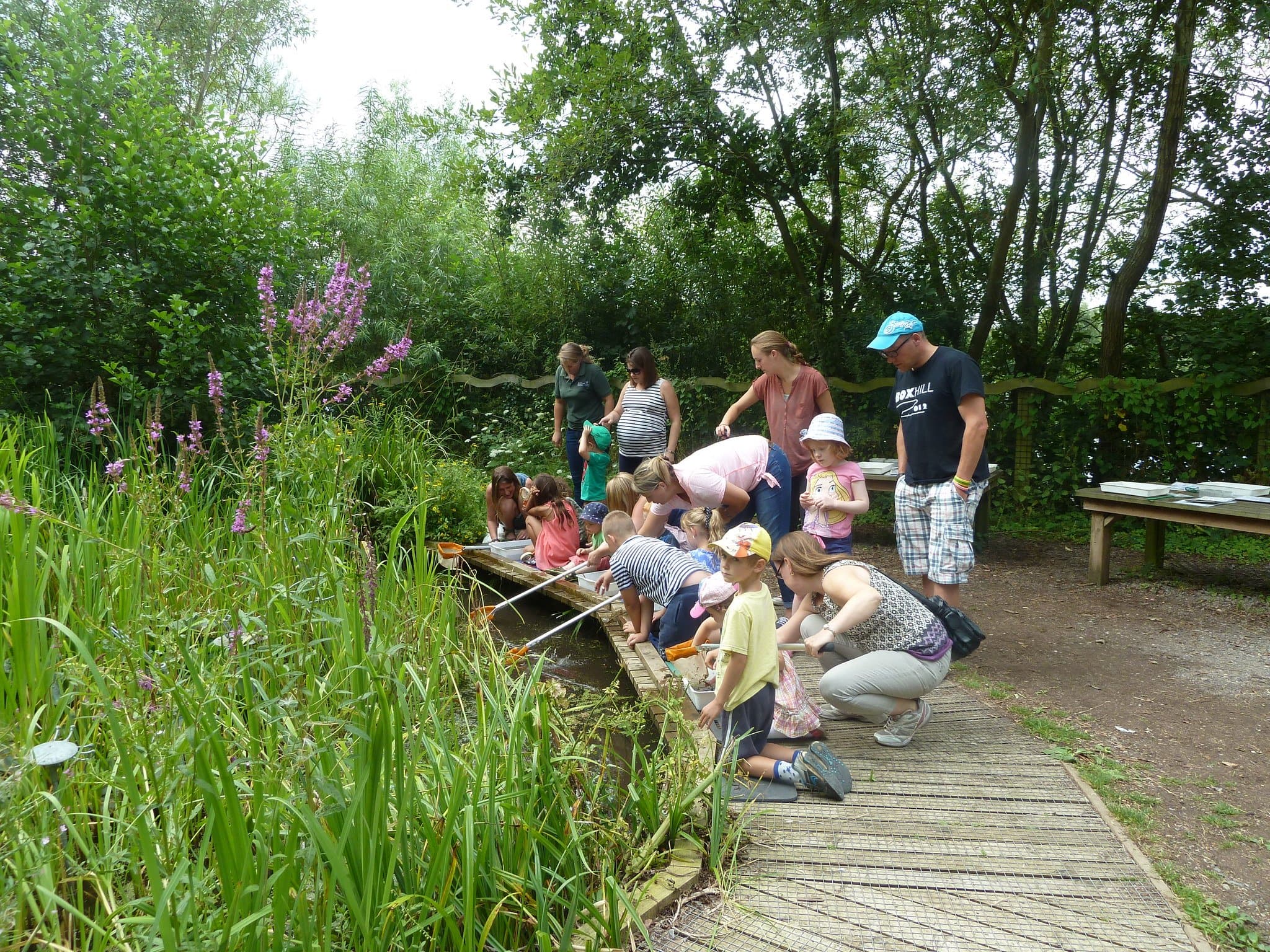 The Nature Discovery Centre - Photo