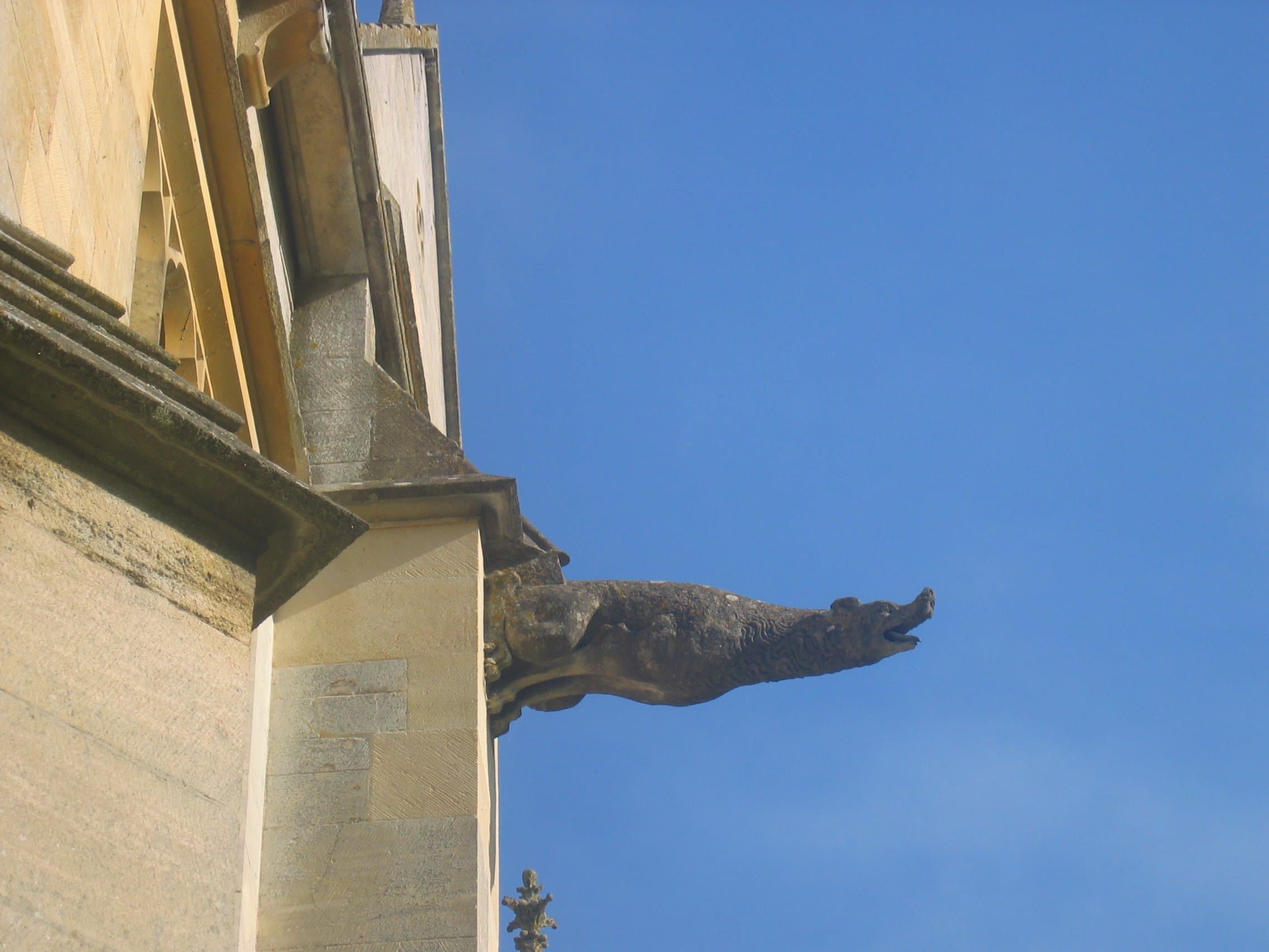Woodchester Mansion - Photo