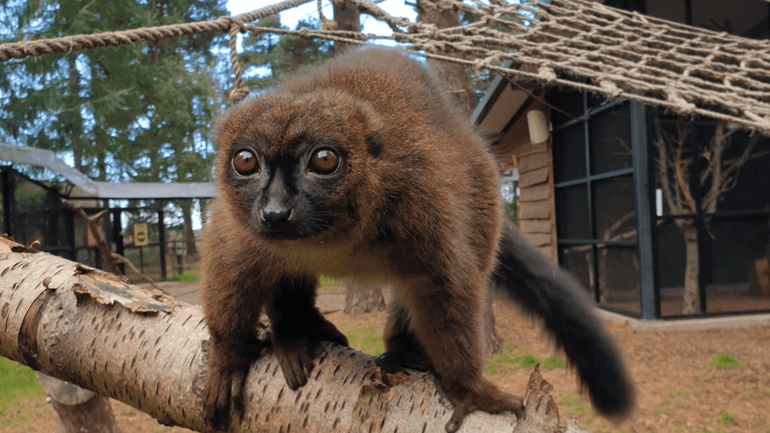 Yorkshire Wildlife Park - Photo