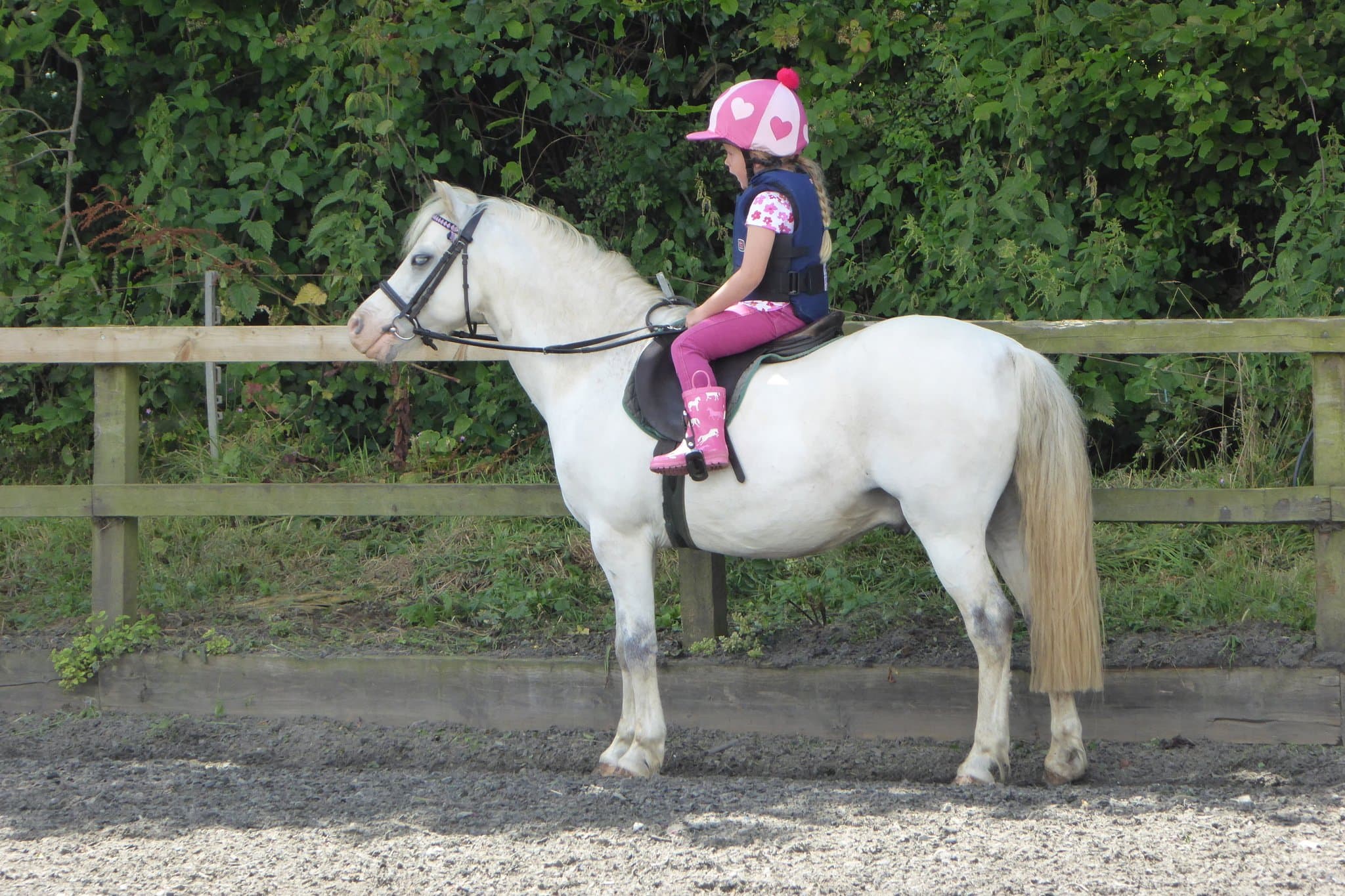 Pevlings Farm Riding and Livery Stables - Photo