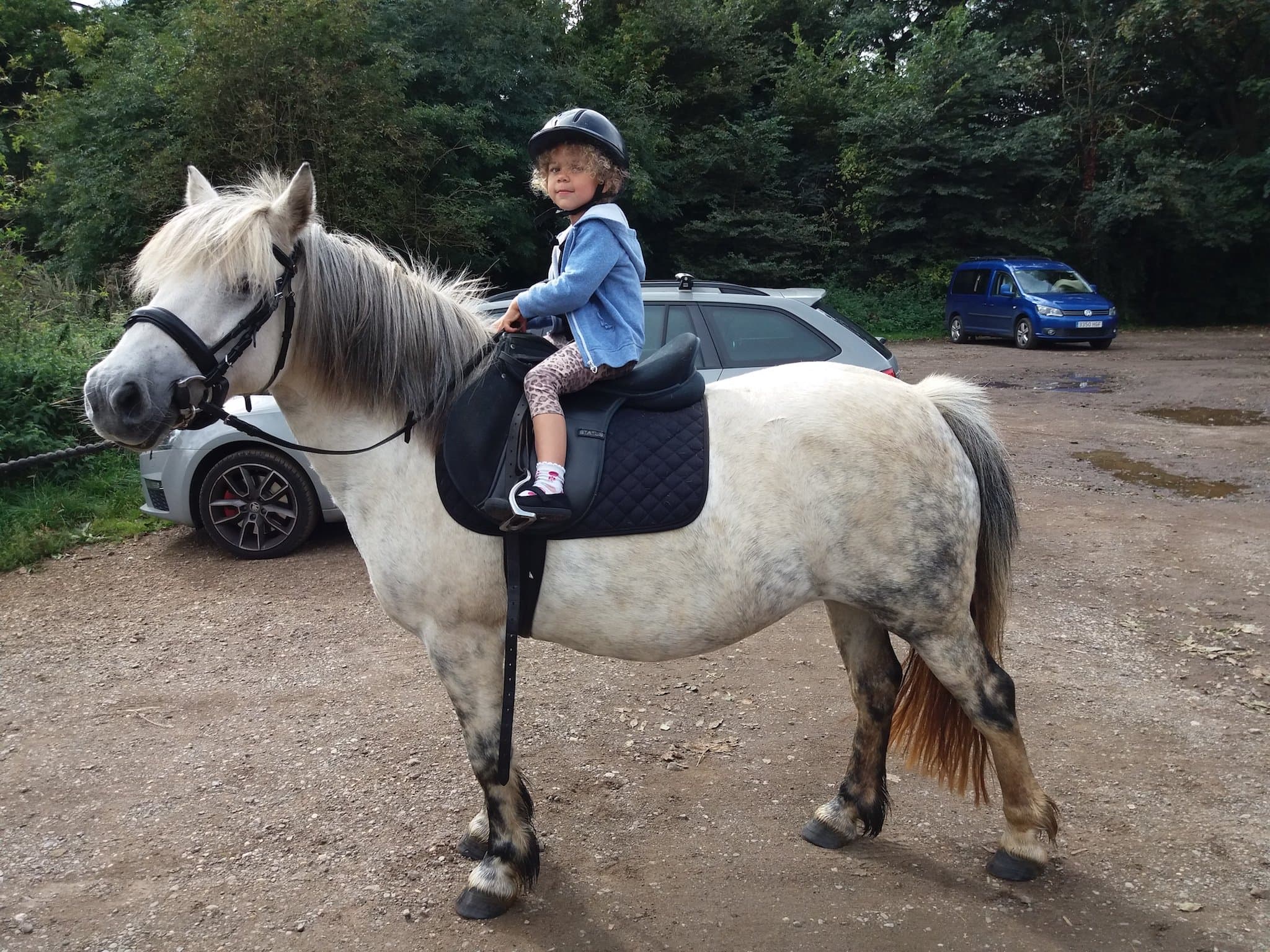 Pony Pursuits - Photo