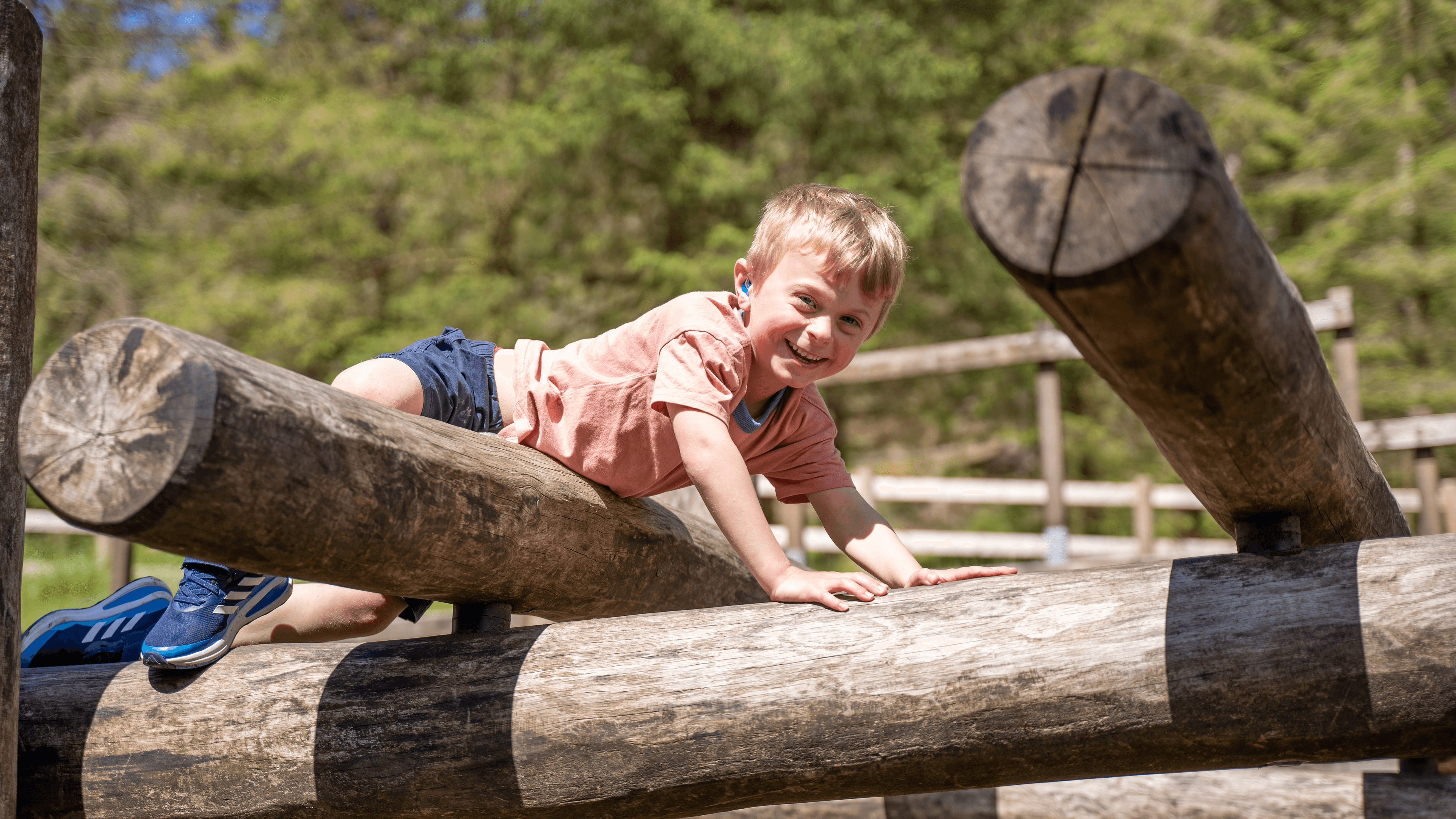 Whinlatter Forest - Photo
