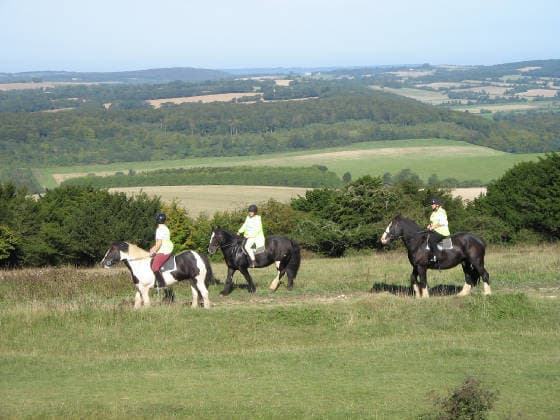 Willowbrook Riding Centre
