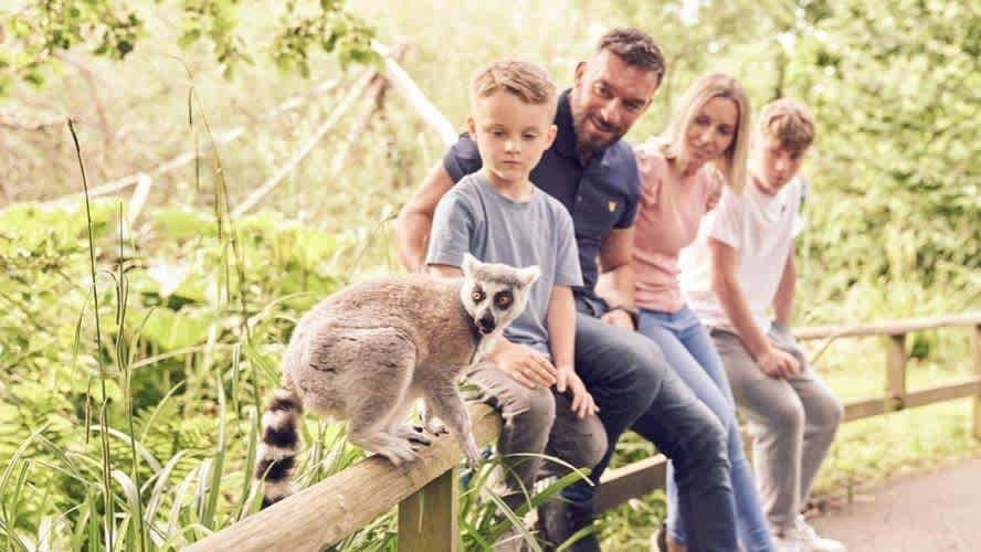 Howletts Wild Animal Park