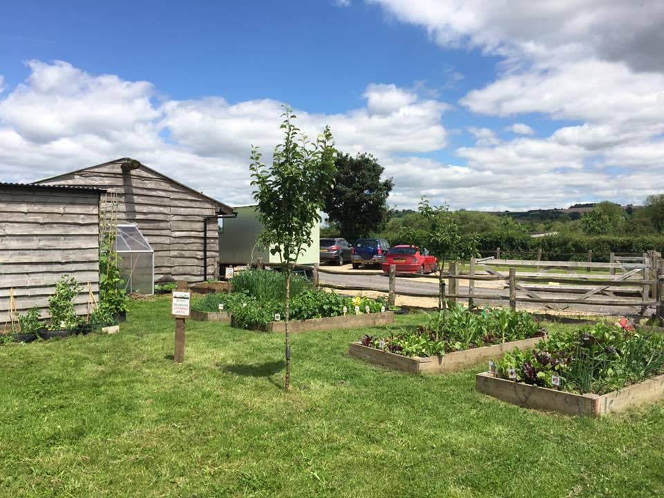 River Bourne Community Farm - Photo
