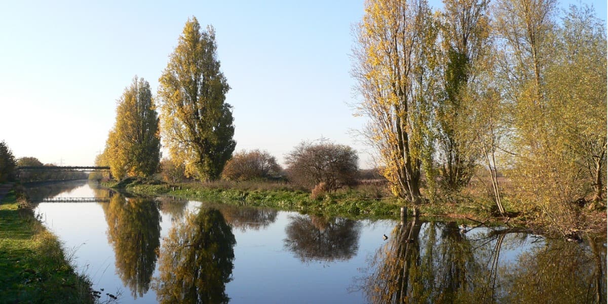 Tottenham Marshes - Photo 1