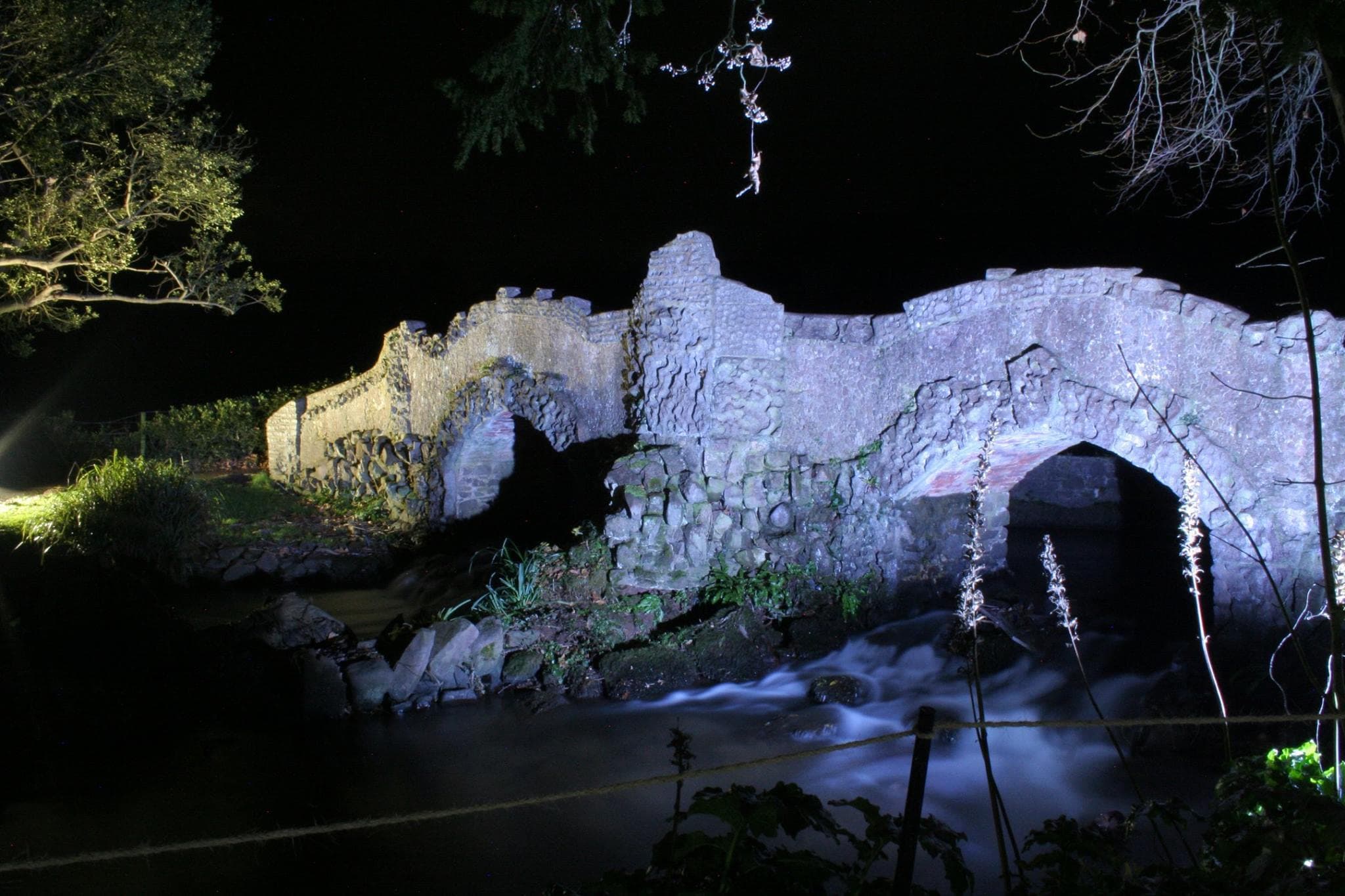 Dunster Forest and Estate - Photo 1
