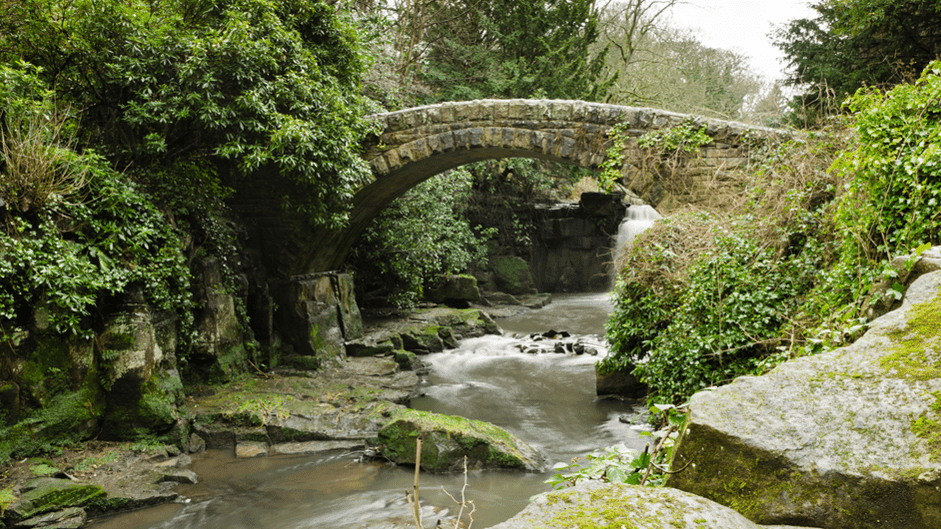 Jesmond Dene Newcastle - Photo