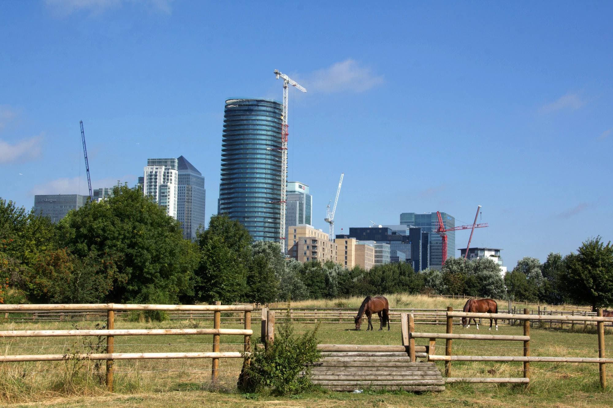 Mudchute Park and Farm - Photo