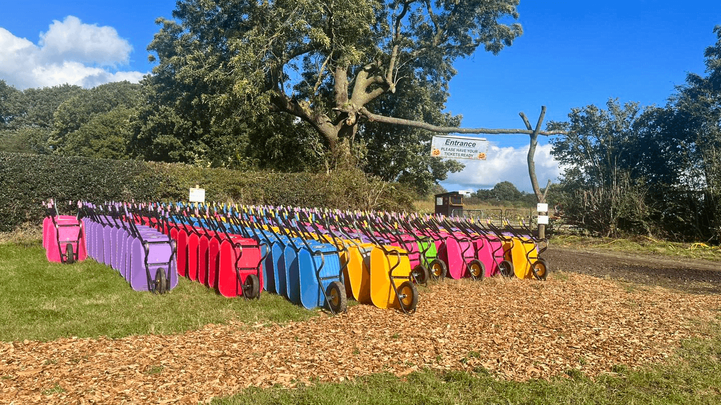 Pumpkin picking at Mr Pumpkin - Photo