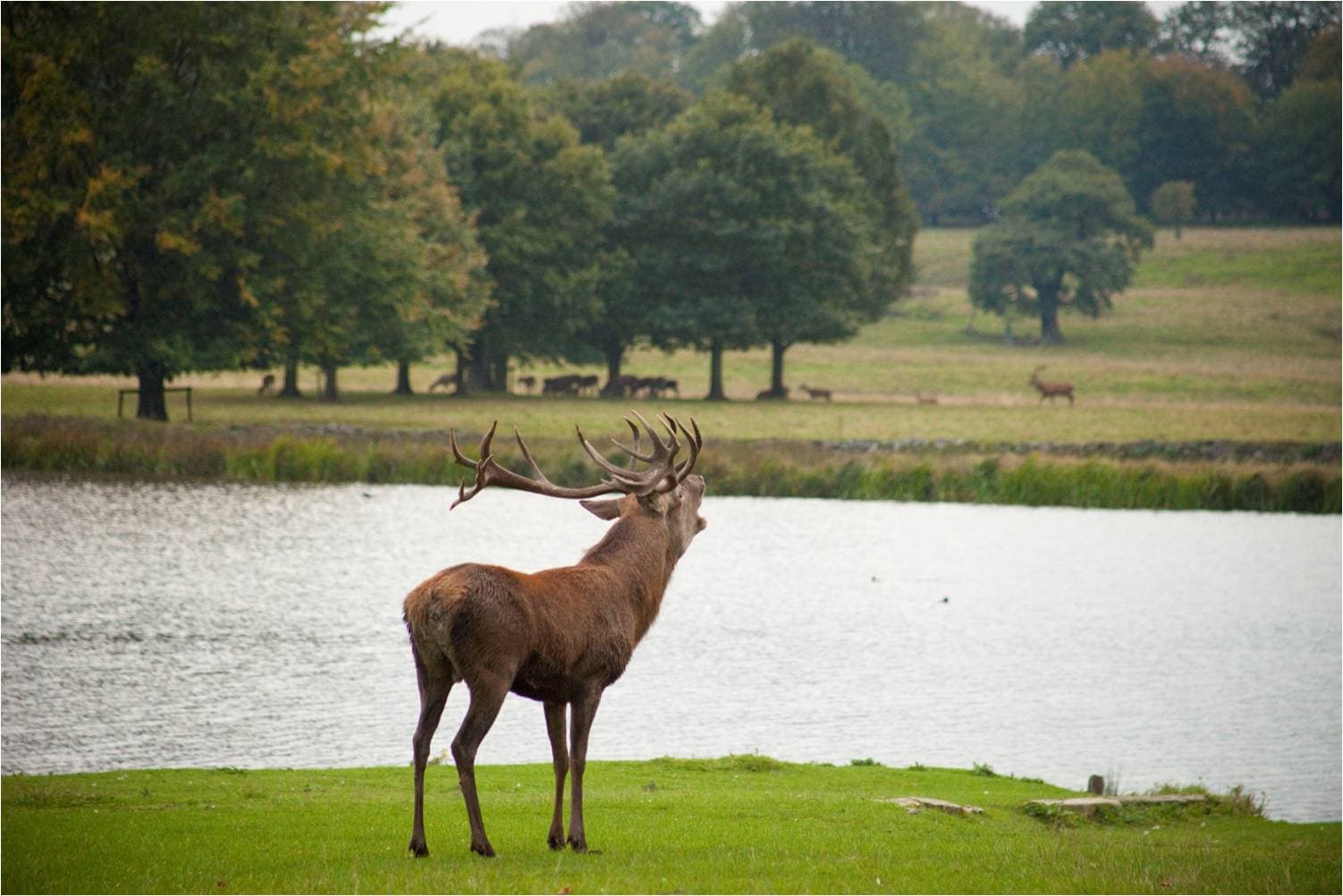 Tatton Park - Photo