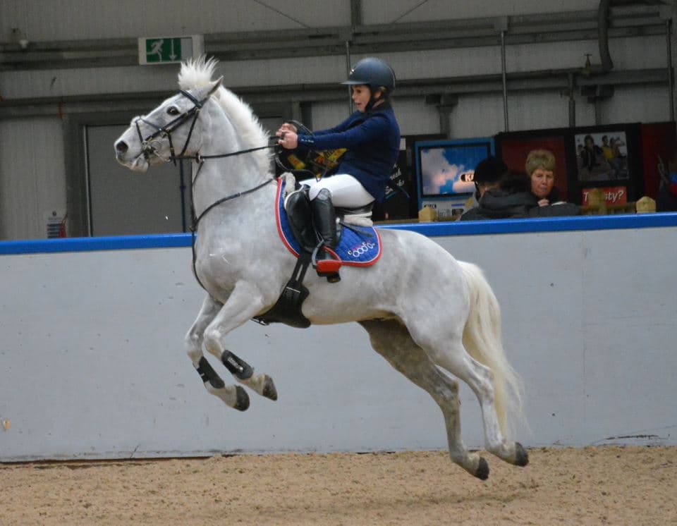 The Scottish National Equestrian Centre - Photo 1