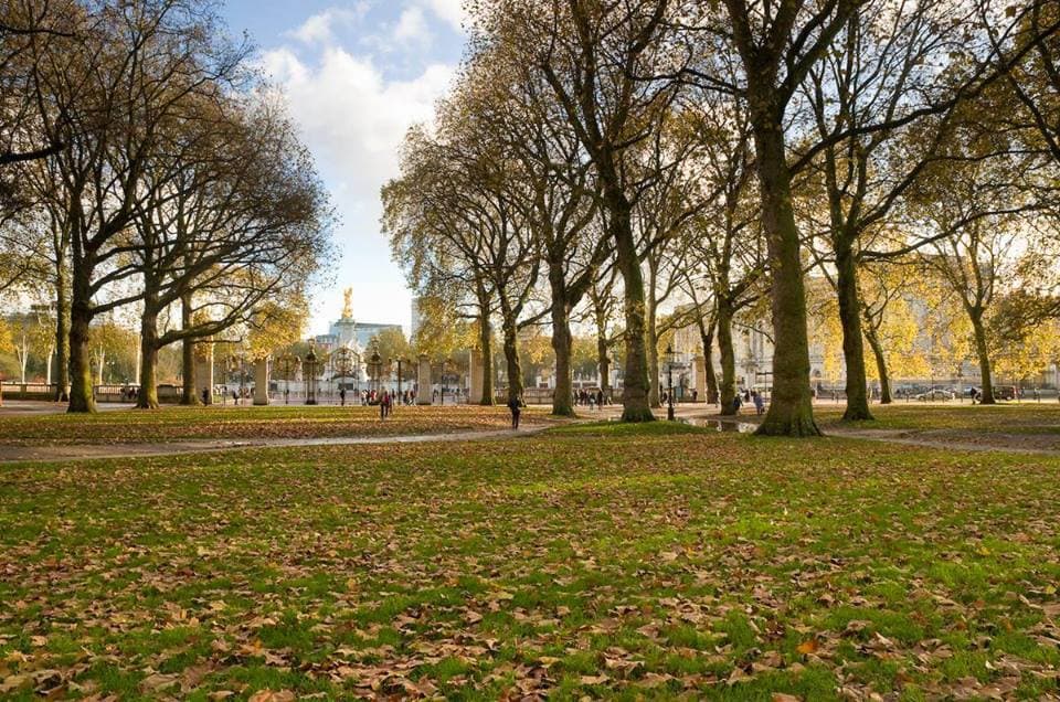 Green Park