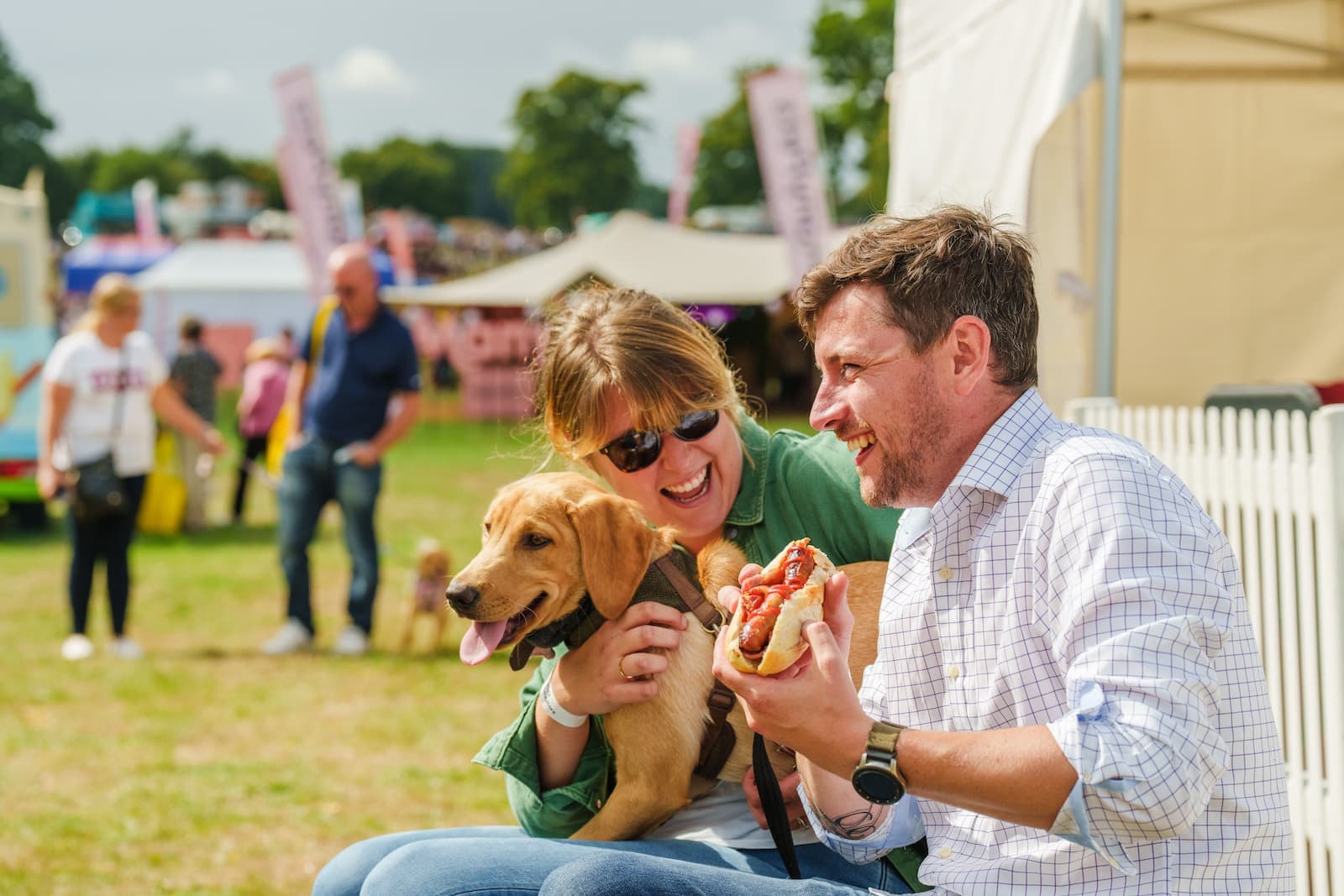 DogFest at Tatton Park - Photo