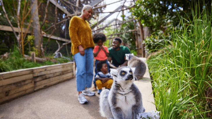 London Zoo - Photo