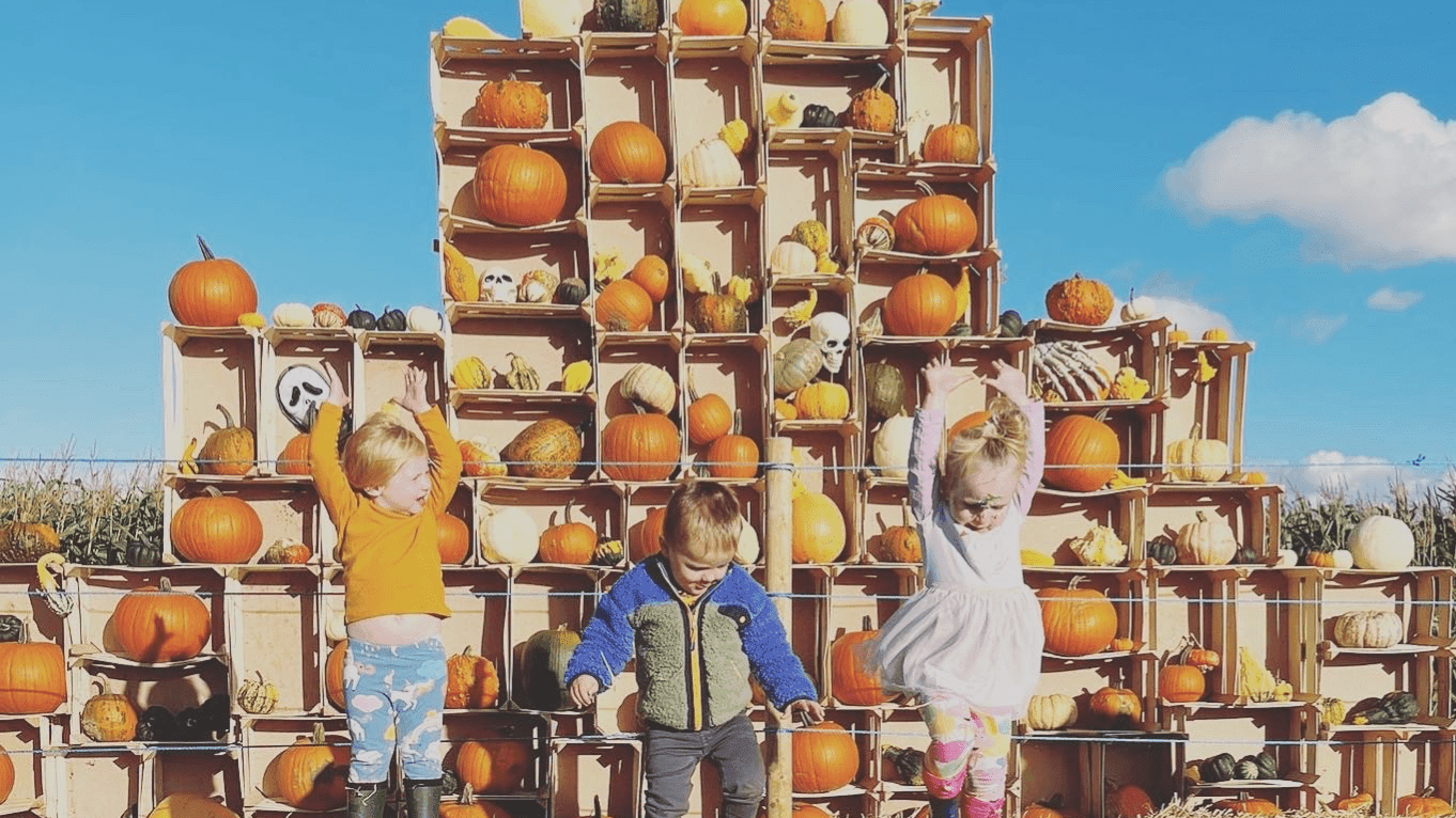 Pumpkin Picking at Sandy Bottom Farm