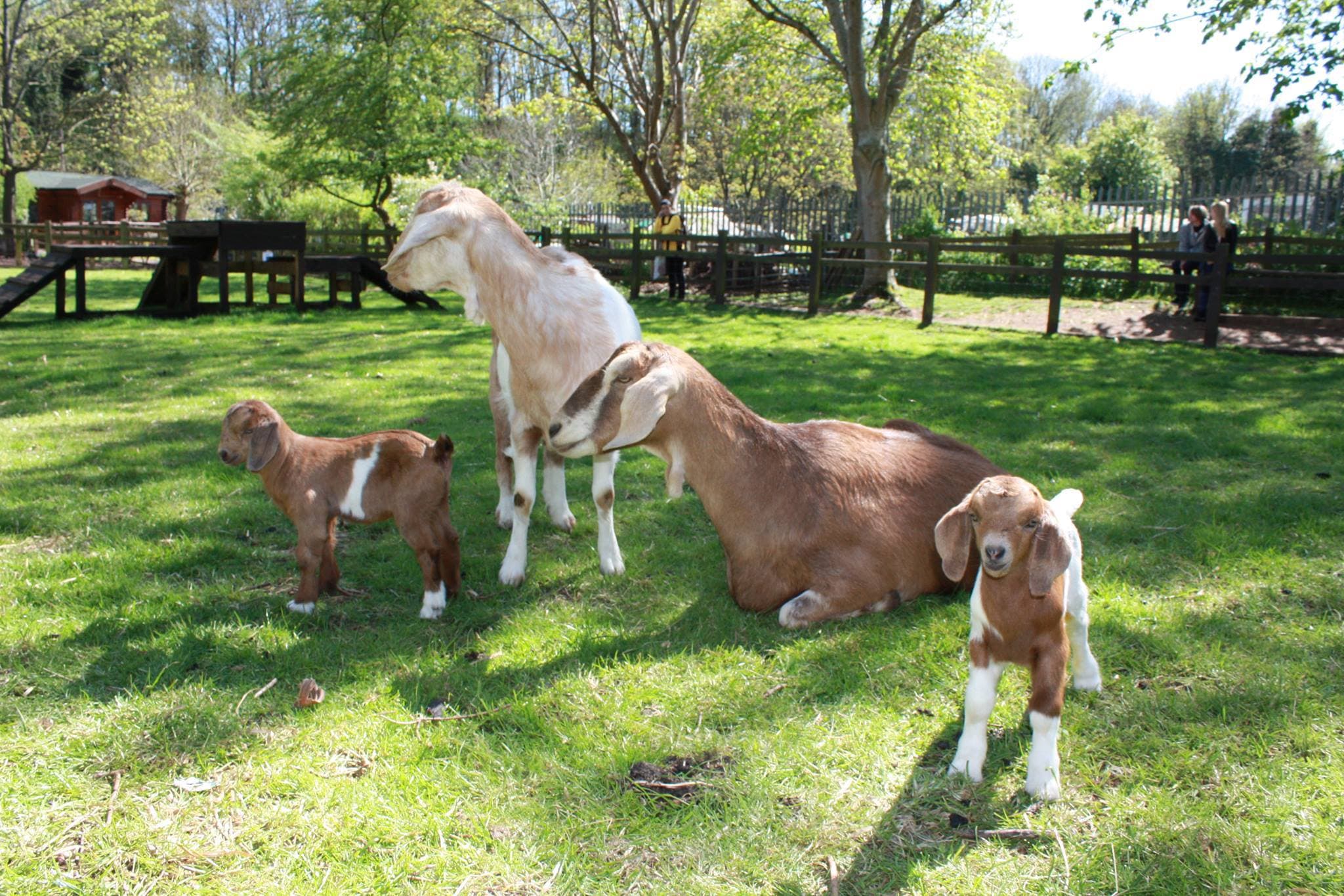 St Werburghs City Farm
