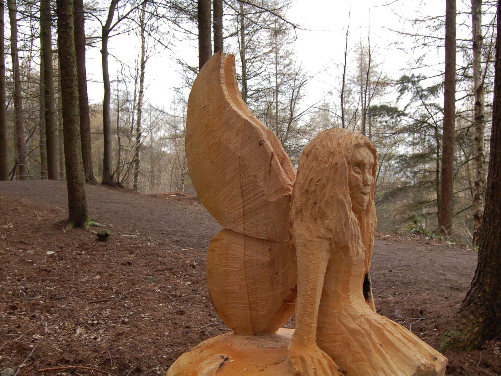 St Ives Estate Country Park - Photo