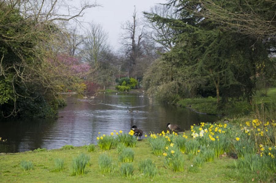 Ravenscourt Park