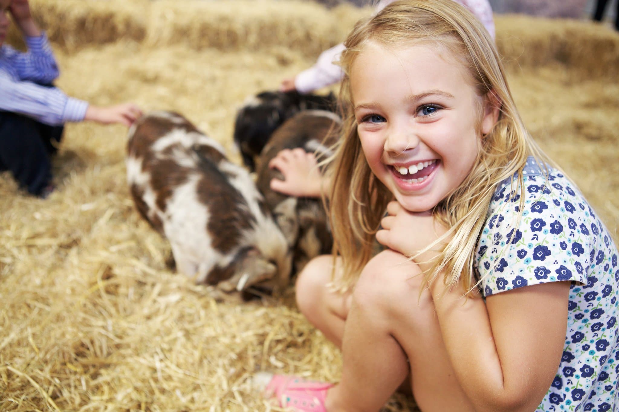 Cotswold Farm Park - Photo
