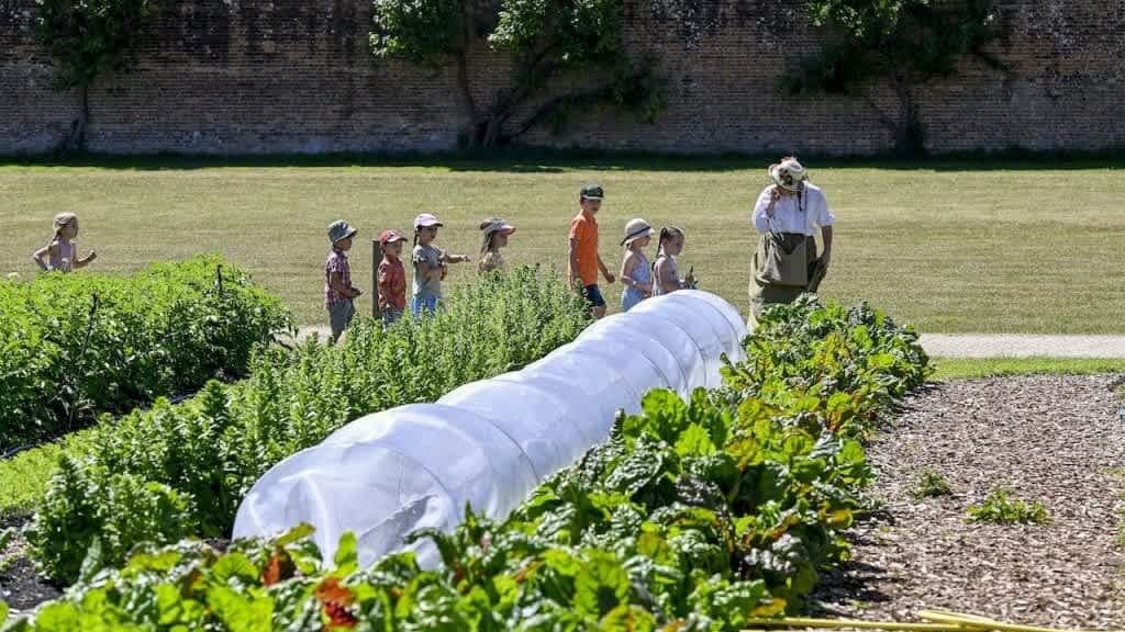 Peter Rabbit Garden Adventure - Photo