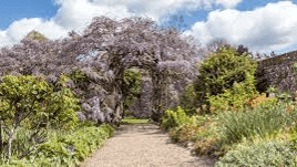 National Trust Greys Court - Photo