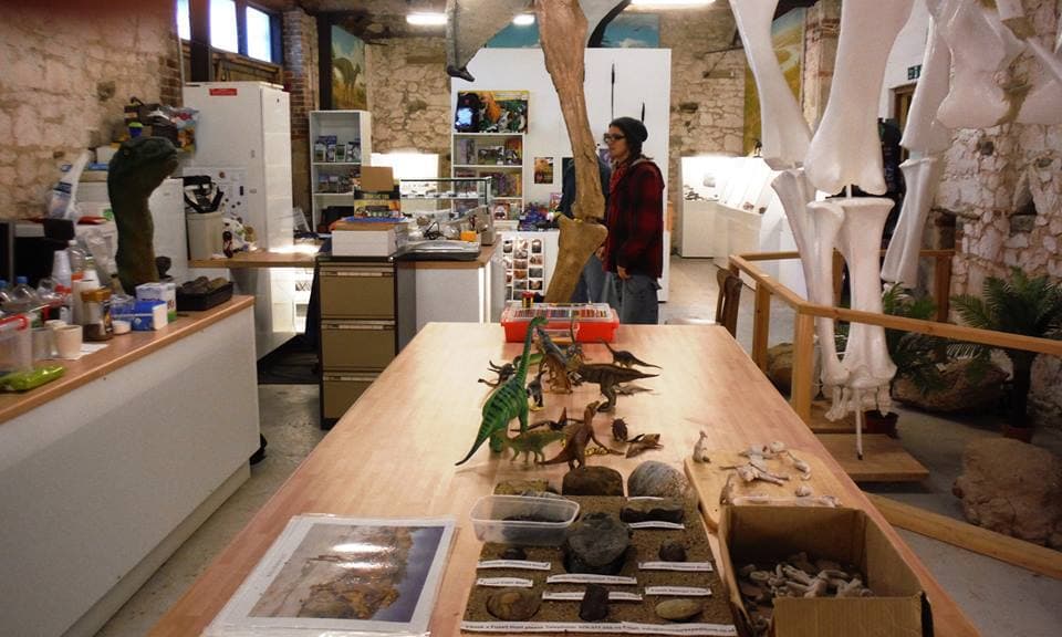 Dinosaur Expeditions CIC
